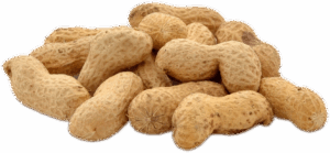 Several peanuts in a pile on a transparent background.