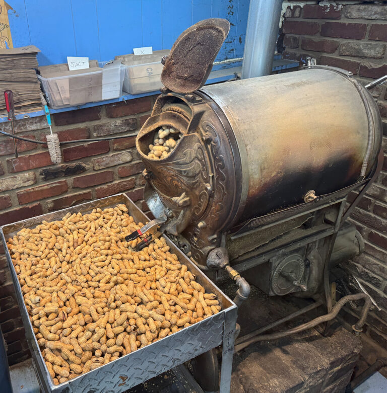 A cylinder shapped peanut roasting machine from the early 1900s with a tray in front filled with roased peanuts.